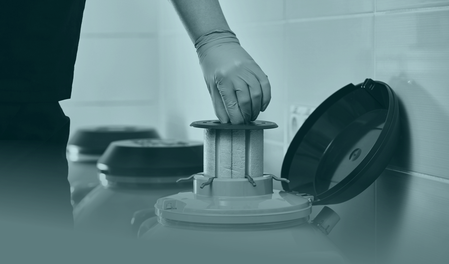 Криоконсервация