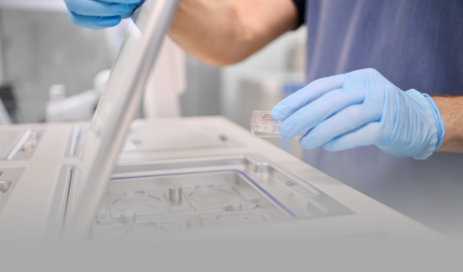 ПГТ эмбрионов